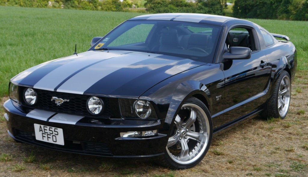 Name:  P1080422%202_zpsg85gxvsk.jpg
Views: 103
Size:  179.0 KB