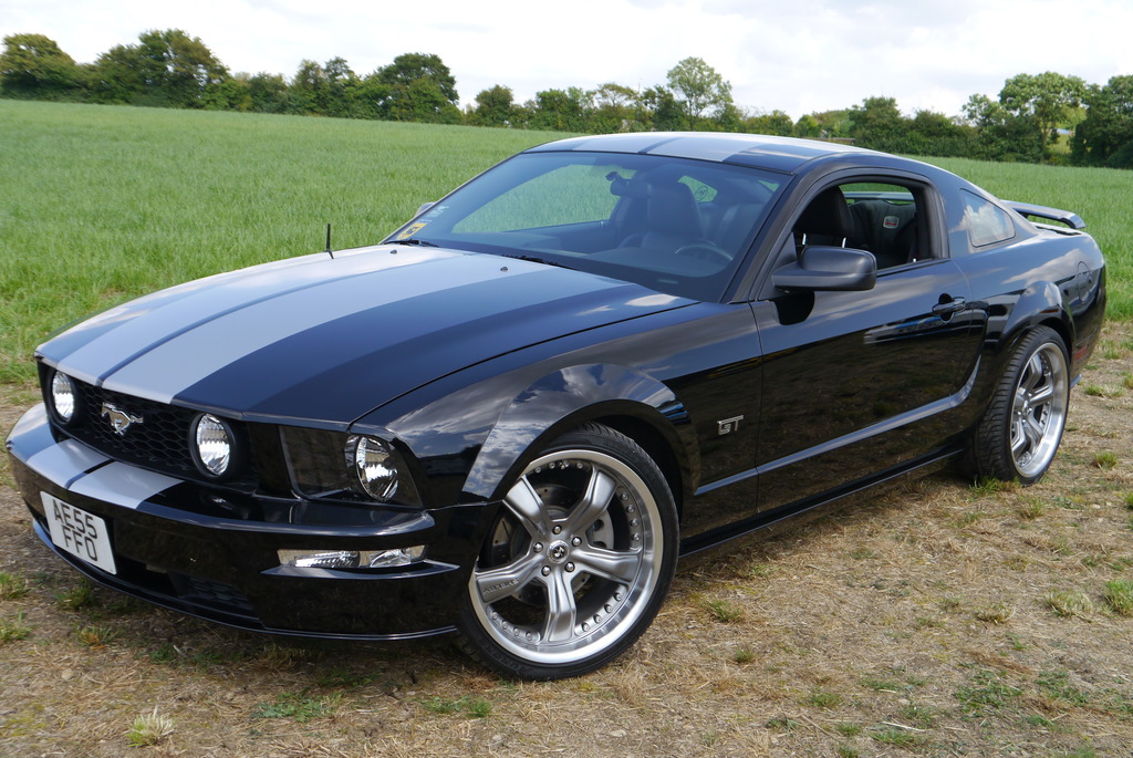 Name:  P1080423_zpsdivkucs2.jpg
Views: 81
Size:  286.6 KB