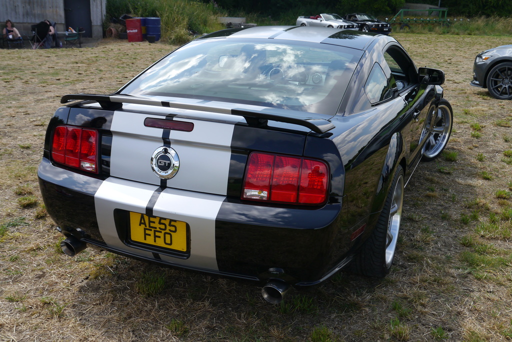 Name:  P1080424_zpsxc4gakpn.jpg
Views: 105
Size:  355.9 KB