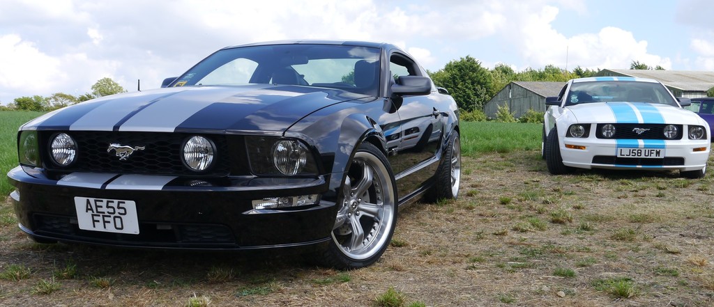 Name:  P1080425%202_zps3js8hoi0.jpg
Views: 91
Size:  172.3 KB