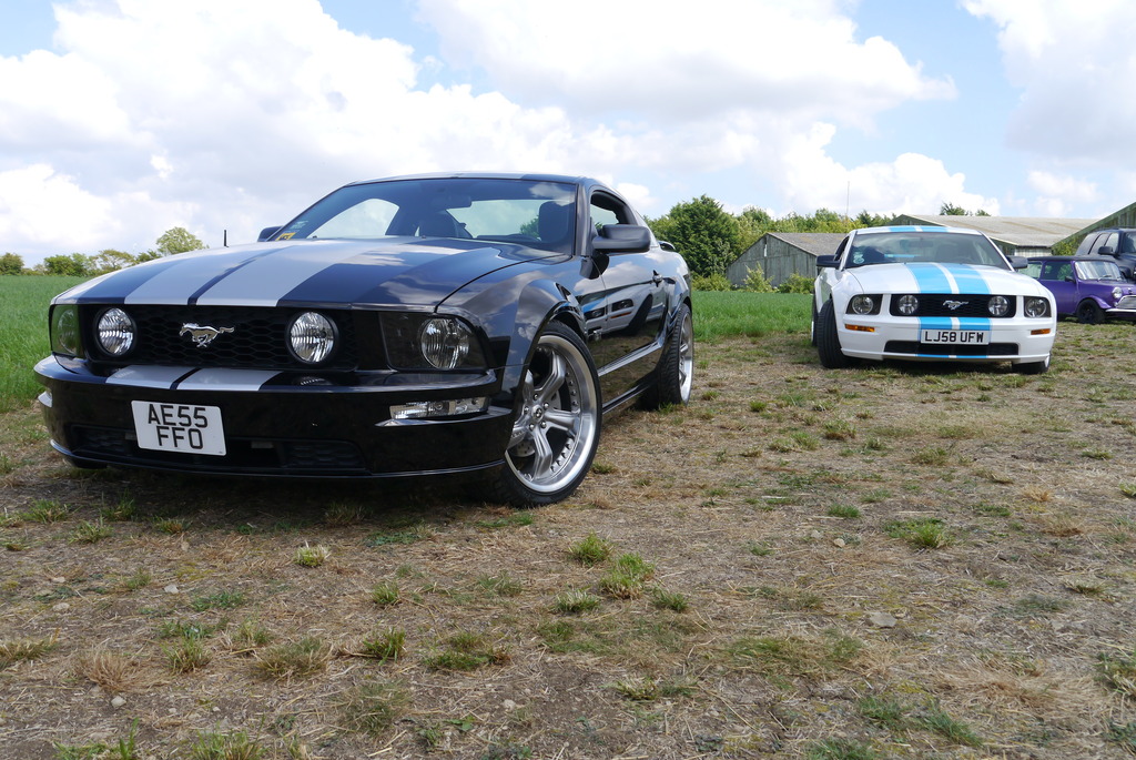 Name:  P1080425_zps7tshfmhd.jpg
Views: 105
Size:  297.7 KB