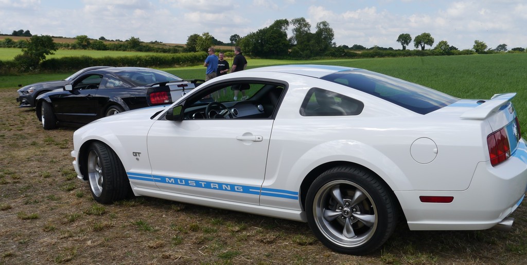 Name:  P1080427_zpsdzqywodm.jpg
Views: 54
Size:  176.7 KB