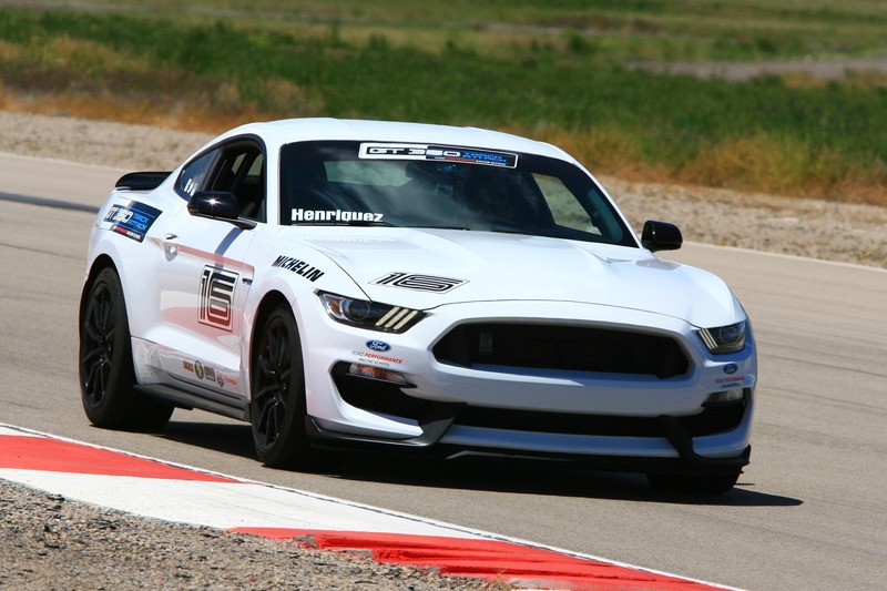 Name:  PGP11331_zpstttqtfts.jpg
Views: 322
Size:  117.6 KB