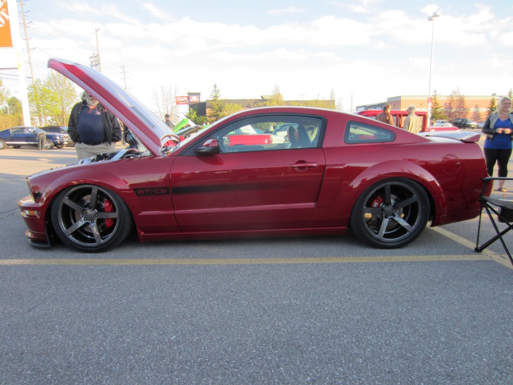 Name:  IMG_0605%20Medium_zpskvbpvpyb.jpg
Views: 169
Size:  194.5 KB