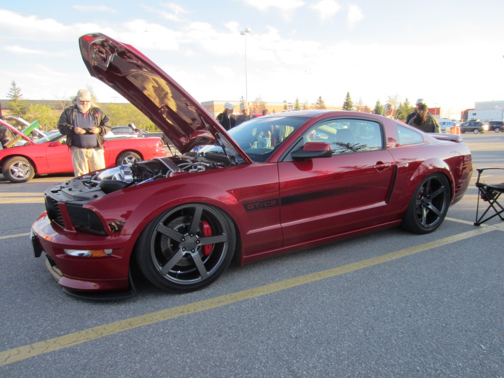 Name:  IMG_0603%20Medium_zps8dq8ku46.jpg
Views: 157
Size:  197.4 KB