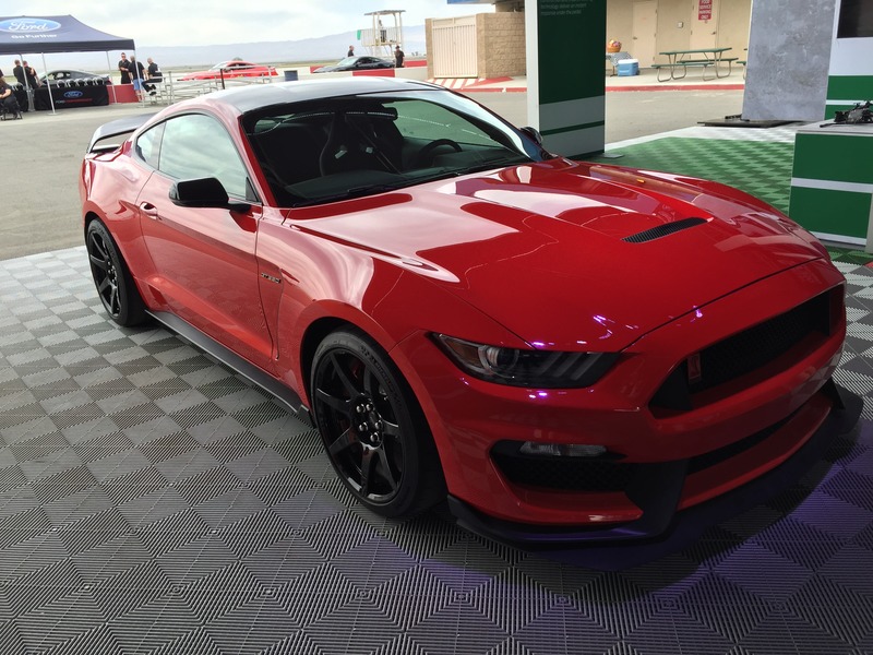 Name:  IMG_1606_zpswfvoitnz.jpg
Views: 307
Size:  159.6 KB