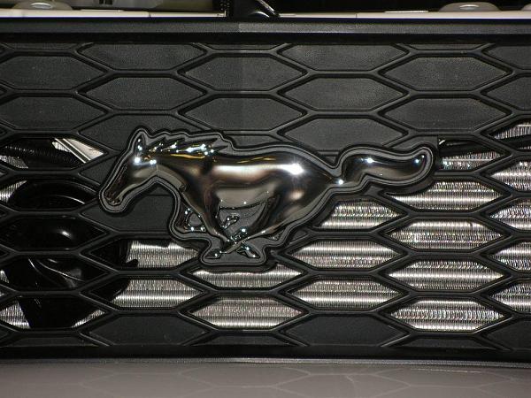 Ponies on The Run!-dscn3259.jpg