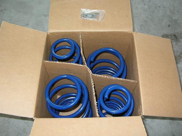 Ponies on The Run!-dscn3268.jpg