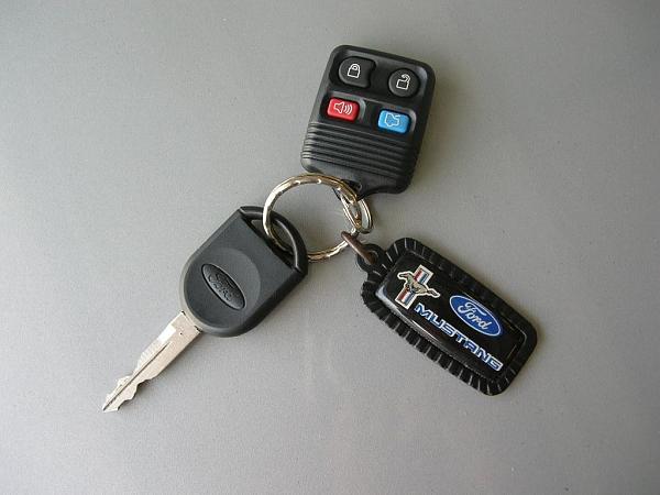 Ponies on The Run!-chain.jpg