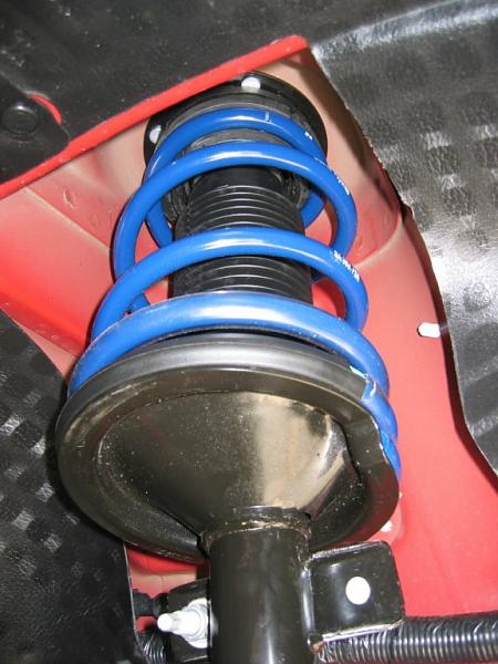 Ponies on The Run!-front-spring-insulators.jpg