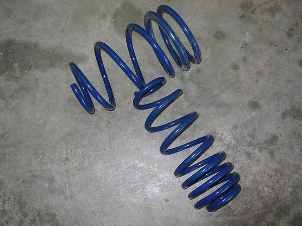 Ponies on The Run!-dscn3274.jpg