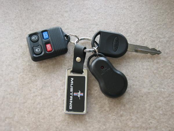 Ponies on The Run!-img_8102.jpg