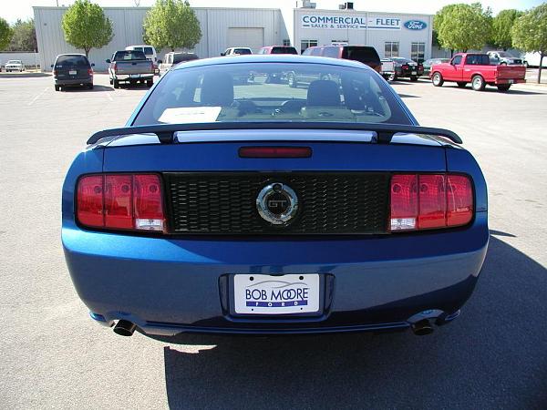 Ponies on The Run!-mystang03-14-2006c.jpg