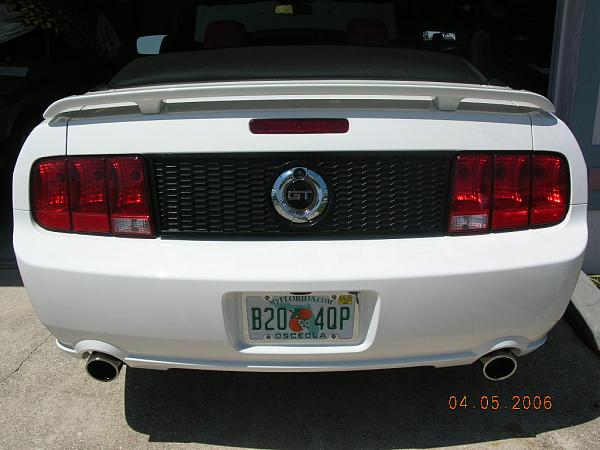 Ponies on The Run!-dscn2933.jpg