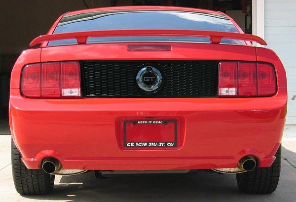 Ponies on The Run!-rear.jpg