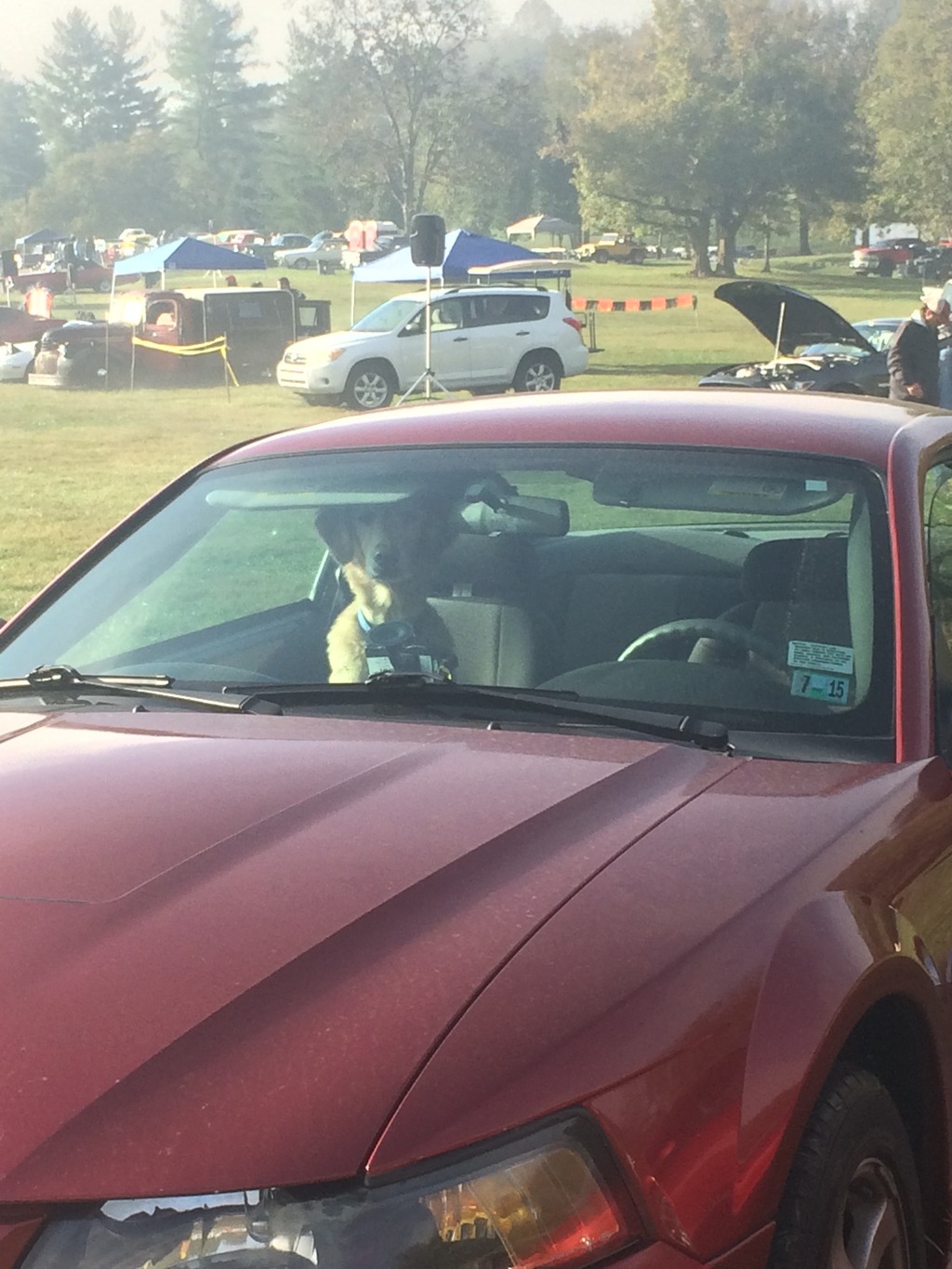 Name:  03CDB137-770C-405D-97E1-7B785A25EE56_zpsng3ndz53.jpg
Views: 90
Size:  291.4 KB