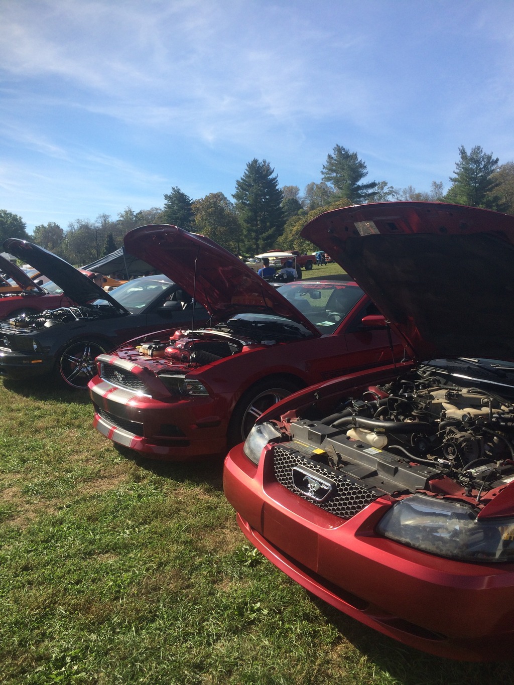 Name:  EDA03B75-E93E-45E5-945A-2017FF8E57DE_zpsucy6dkwq.jpg
Views: 76
Size:  452.9 KB