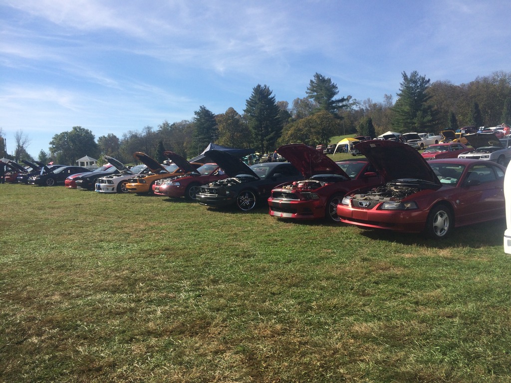 Name:  6BCD3AB5-36DA-4220-A139-98900CB3FA60_zpsjfmdnoaj.jpg
Views: 73
Size:  307.9 KB