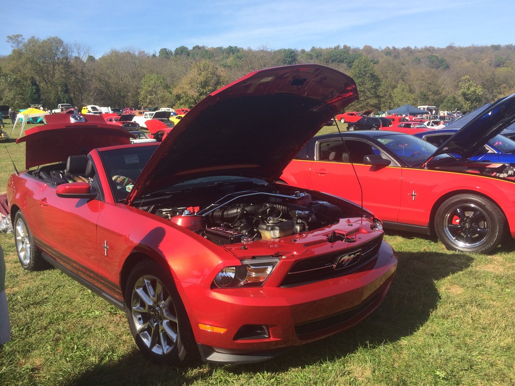 Name:  DFABF531-85B7-4D03-9F05-51827B961792_zpsmbrun2sr.jpg
Views: 84
Size:  281.8 KB