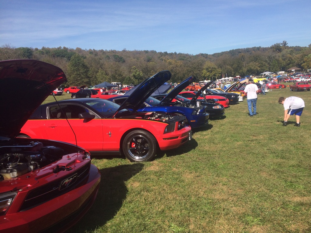 Name:  74704BCC-5A1D-40D2-B800-2BE0794FCC73_zpsrsvz012r.jpg
Views: 82
Size:  282.3 KB