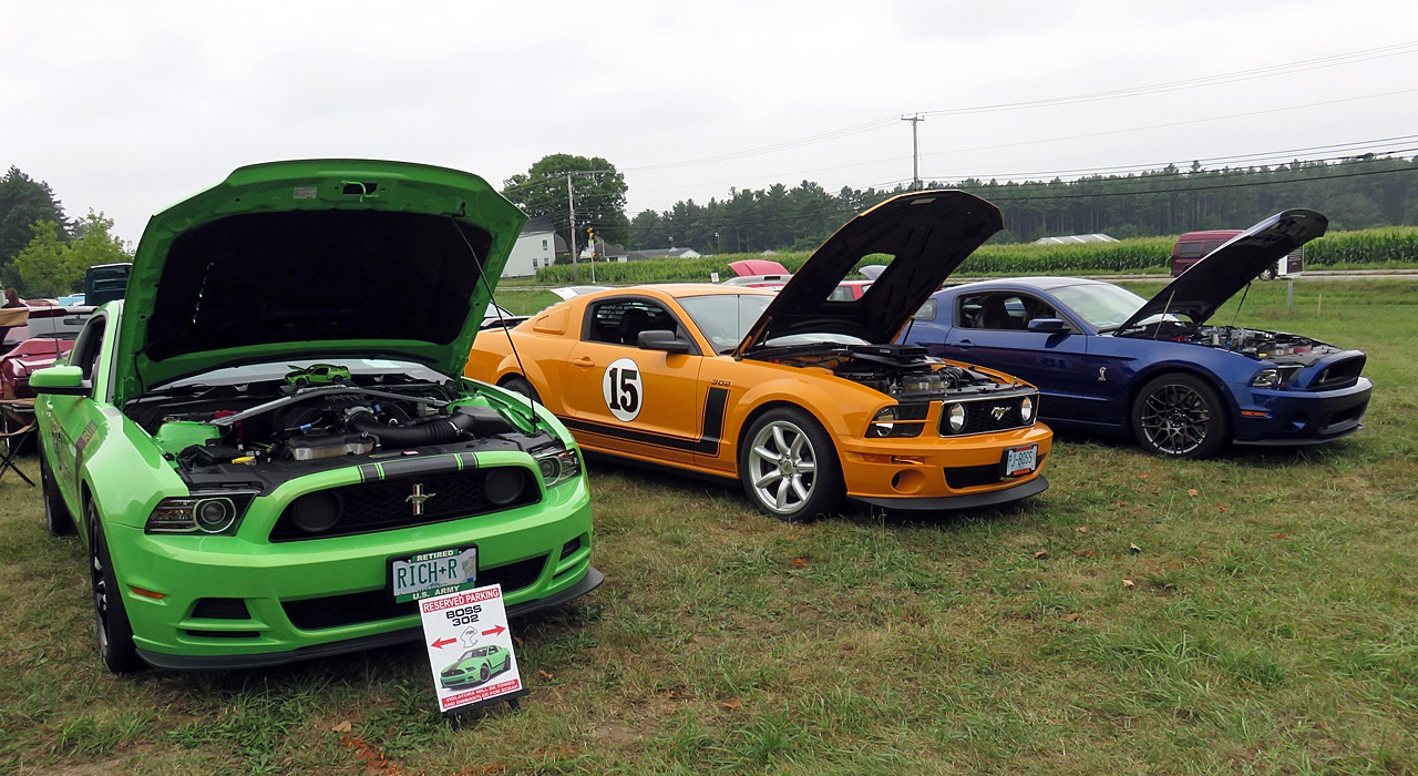 Name:  2015-08-23_AlvirneShow02.jpg
Views: 36
Size:  407.9 KB