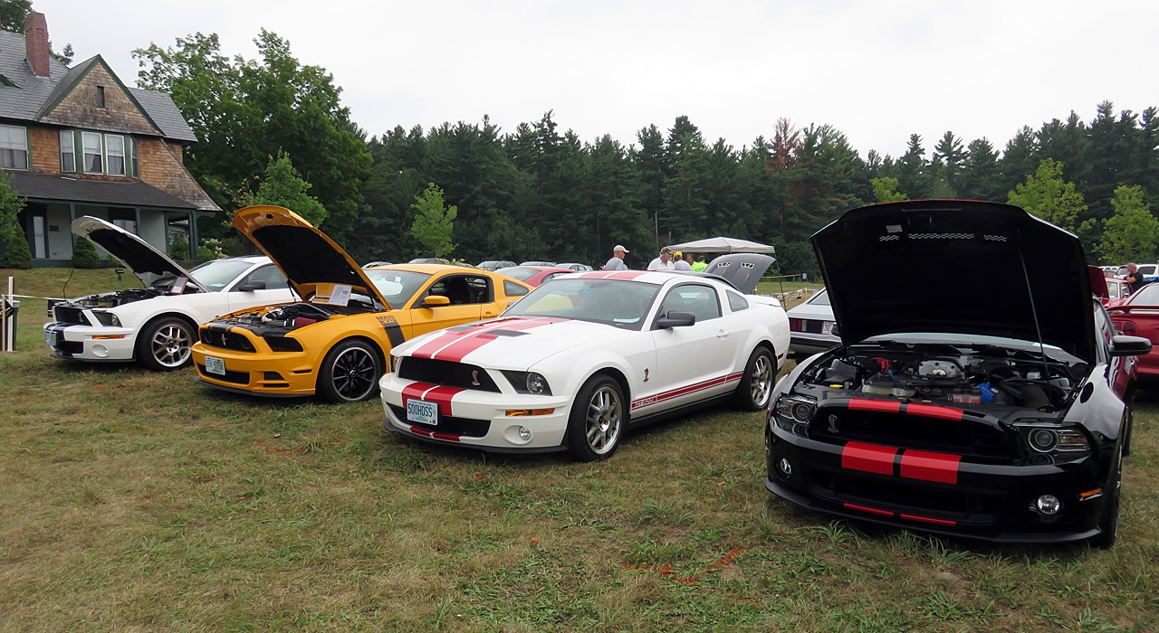 Name:  2015-08-23_AlvirneShow03.jpg
Views: 44
Size:  417.8 KB