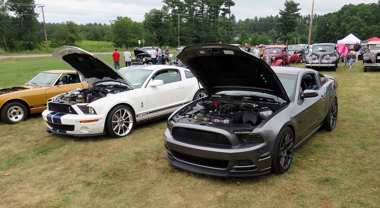 Name:  2015-08-23_AlvirneShow08.jpg
Views: 43
Size:  479.5 KB