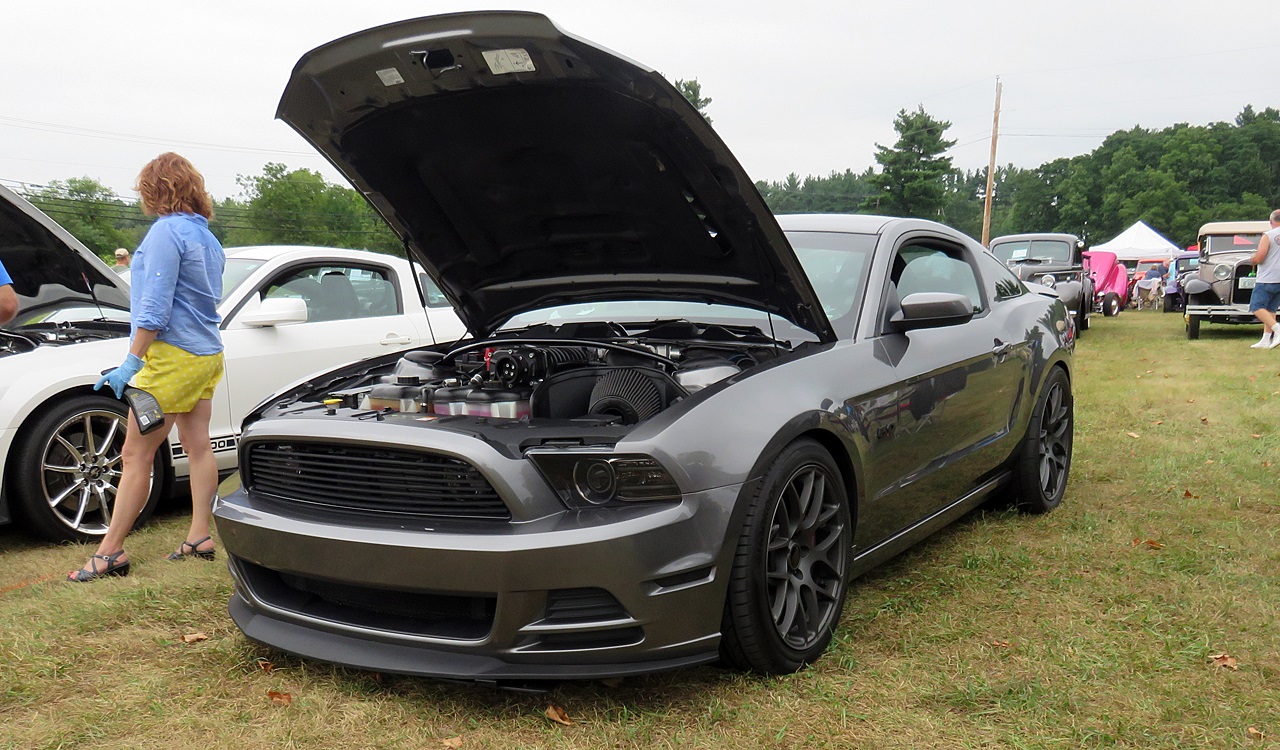 Name:  2015-08-23_AlvirneShow09.jpg
Views: 61
Size:  411.1 KB