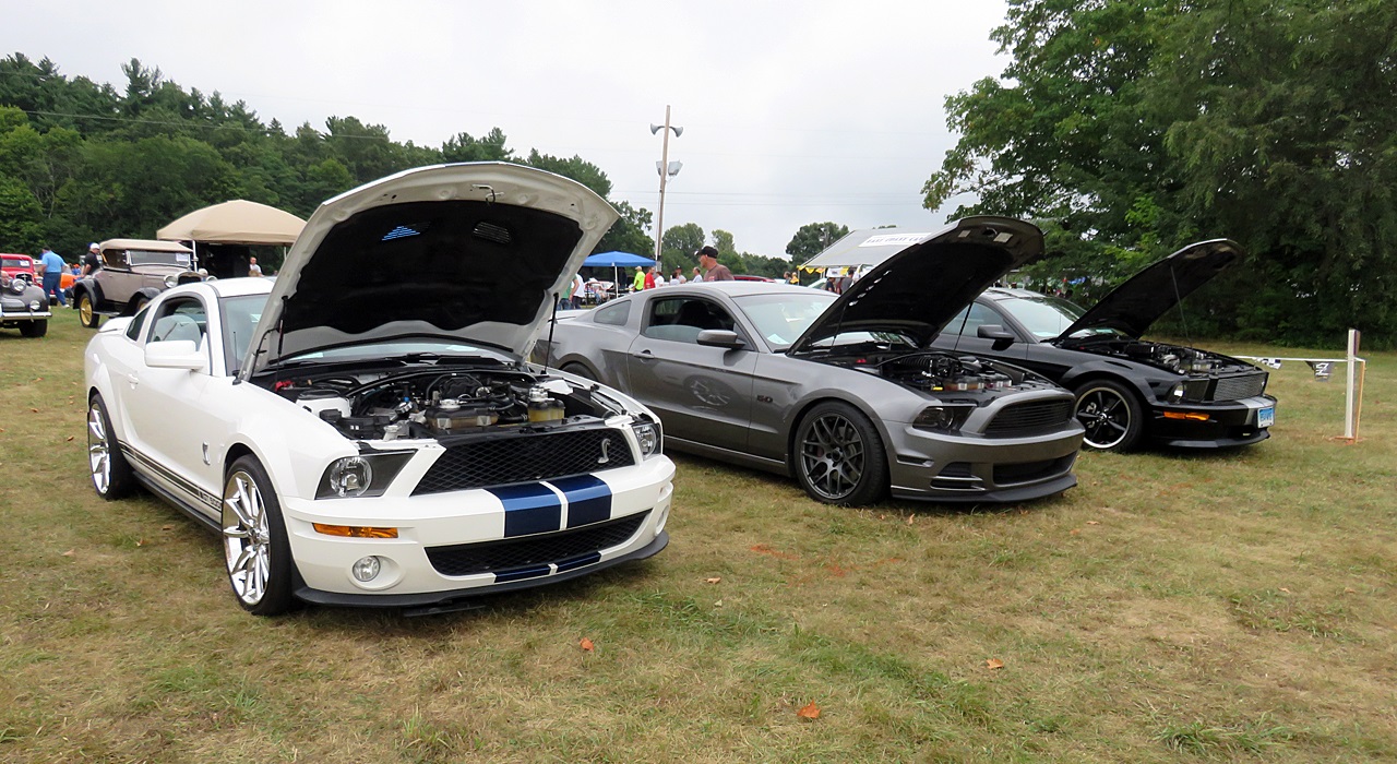 Name:  2015-08-23_AlvirneShow11.jpg
Views: 70
Size:  413.3 KB