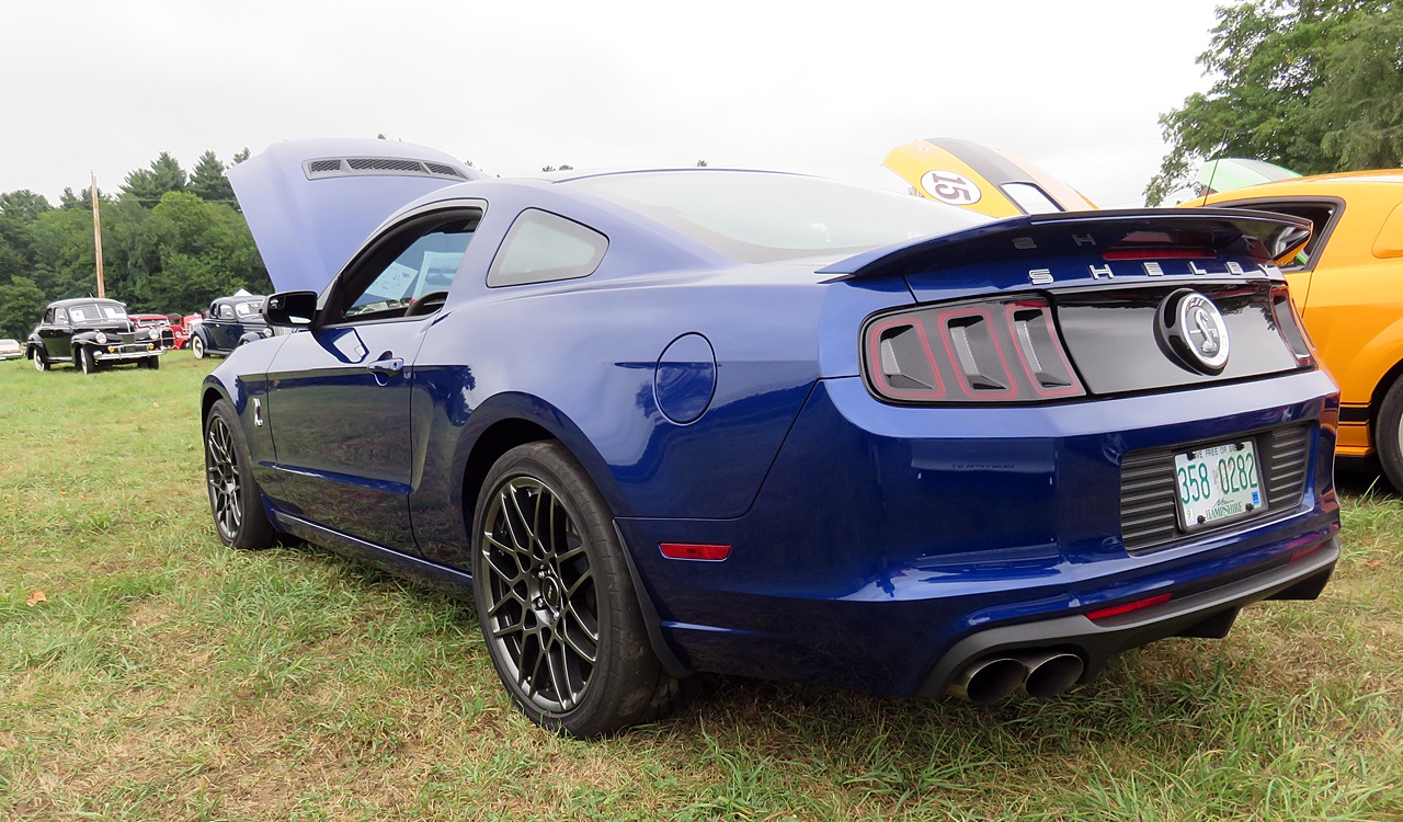 Name:  2015-08-23_AlvirneShow06.jpg
Views: 67
Size:  423.3 KB