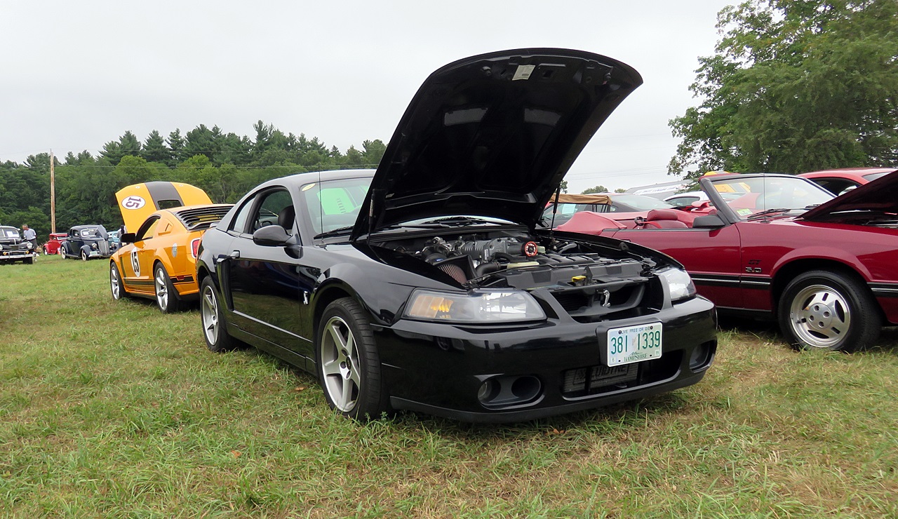 Name:  2015-08-23_AlvirneShow04.jpg
Views: 41
Size:  447.6 KB