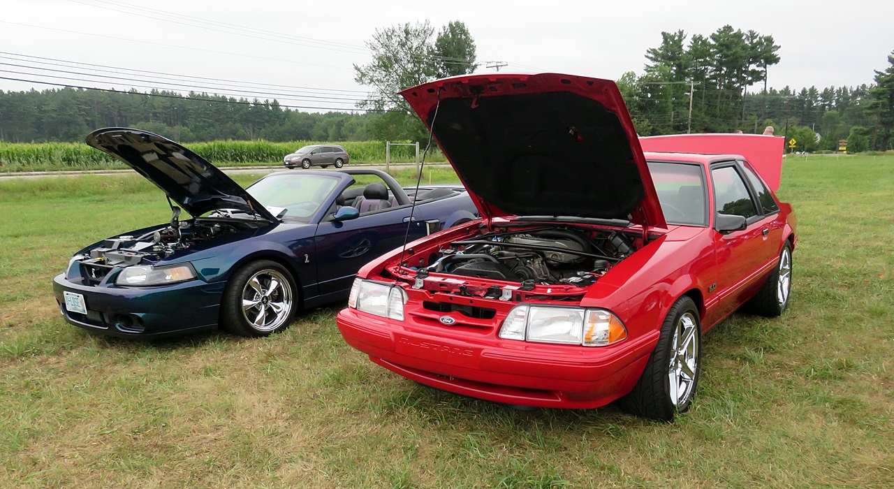 Name:  2015-08-23_AlvirneShow05.jpg
Views: 44
Size:  432.2 KB