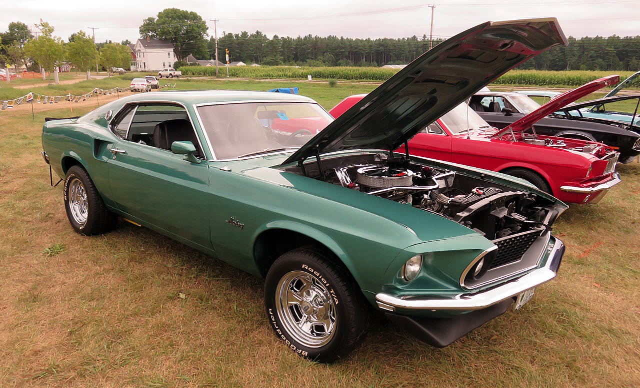 Name:  2015-08-23_AlvirneShow27.jpg
Views: 38
Size:  505.7 KB