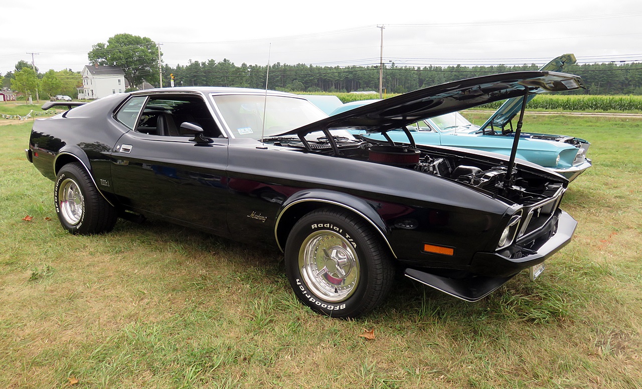 Name:  2015-08-23_AlvirneShow26.jpg
Views: 79
Size:  494.4 KB