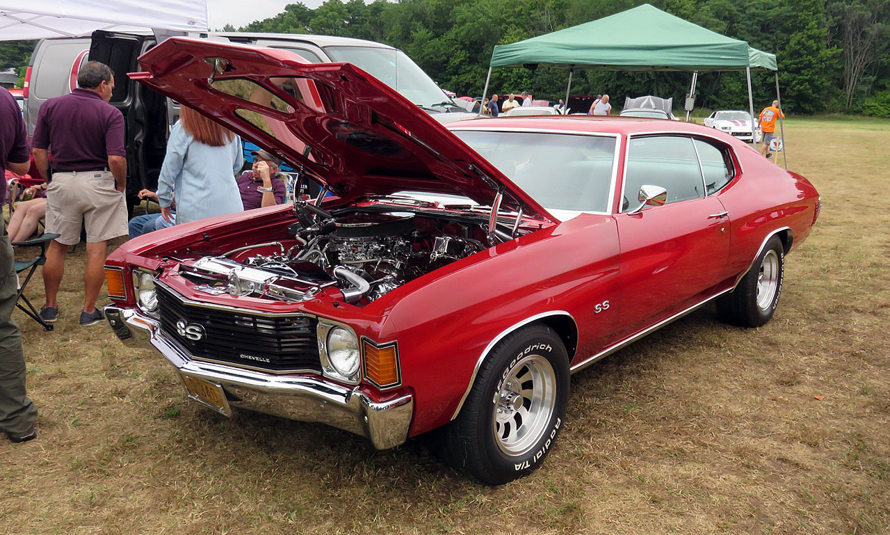 Name:  2015-08-23_AlvirneShow13.jpg
Views: 77
Size:  341.6 KB