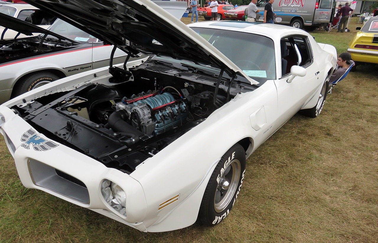 Name:  2015-08-23_AlvirneShow17.jpg
Views: 39
Size:  477.7 KB