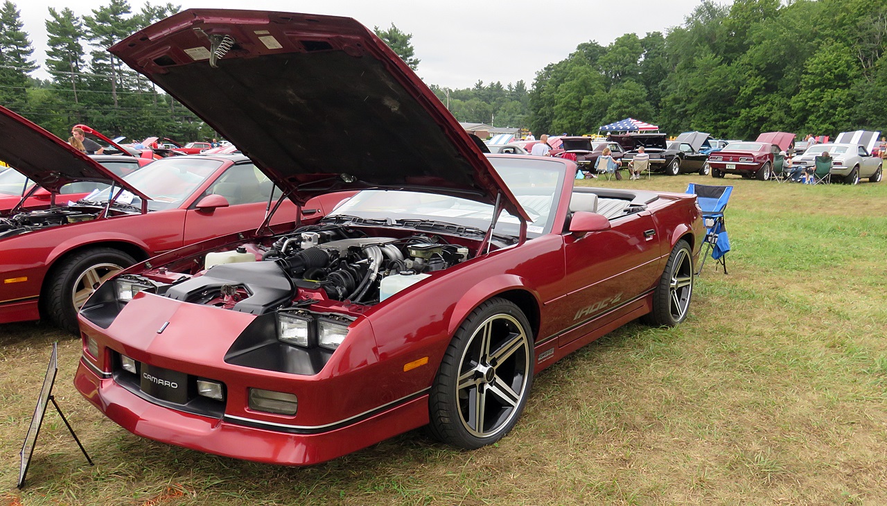 Name:  2015-08-23_AlvirneShow18.jpg
Views: 78
Size:  501.0 KB