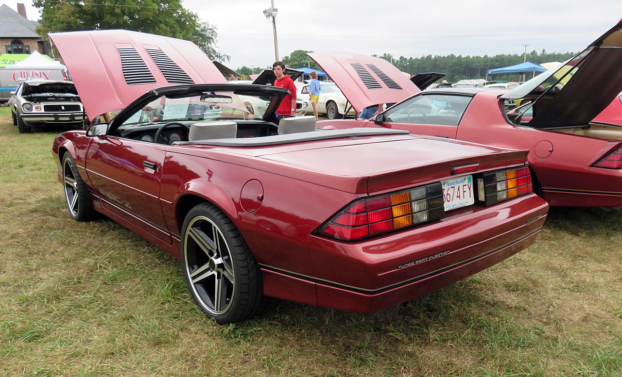 Name:  2015-08-23_AlvirneShow20.jpg
Views: 65
Size:  480.5 KB