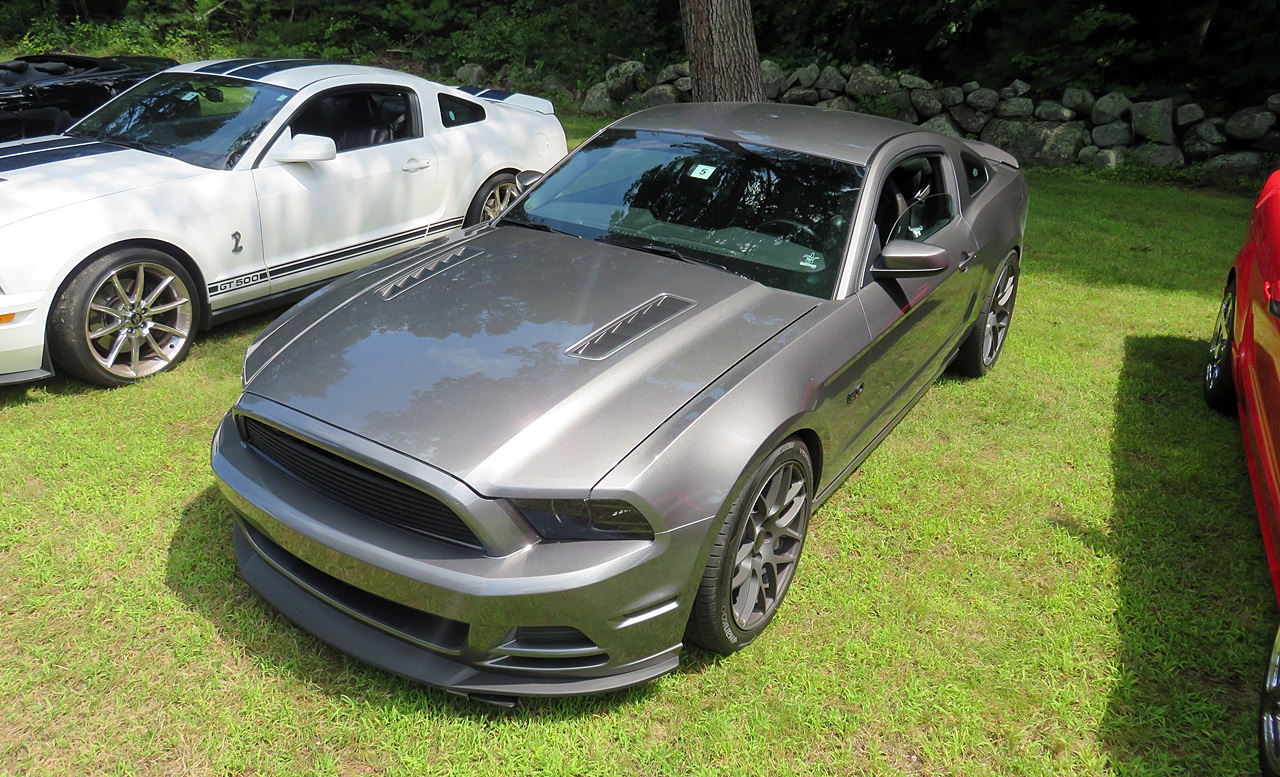 Name:  2015-08-16_NHMCpicnic12.jpg
Views: 67
Size:  518.5 KB