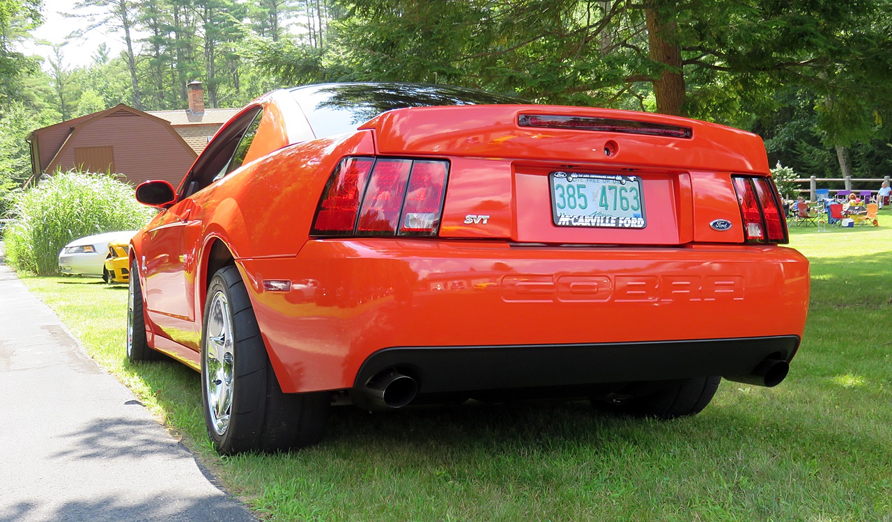 Name:  2015-08-16_NHMCpicnic16.jpg
Views: 55
Size:  489.1 KB