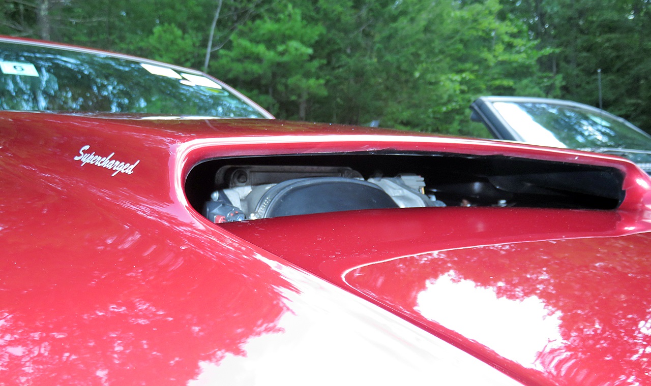 Name:  2015-08-16_NHMCpicnic18.jpg
Views: 40
Size:  335.2 KB