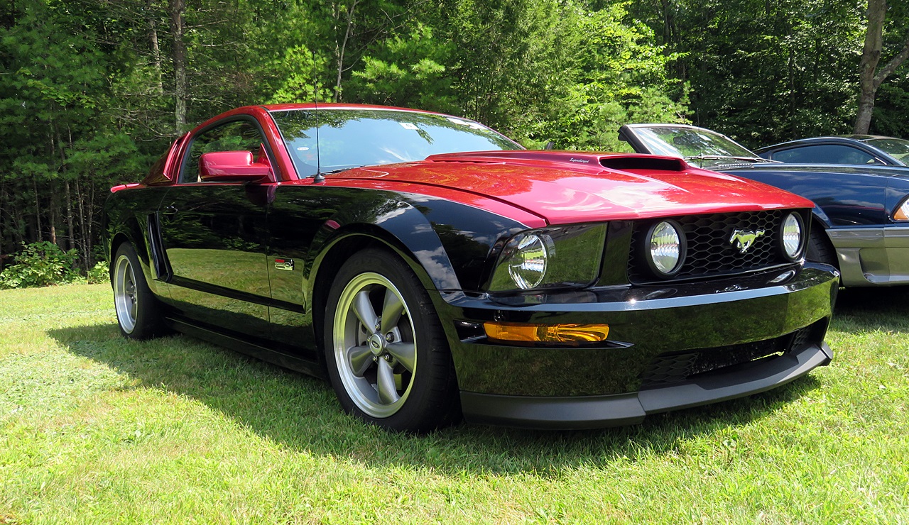 Name:  2015-08-16_NHMCpicnic21.jpg
Views: 109
Size:  586.0 KB