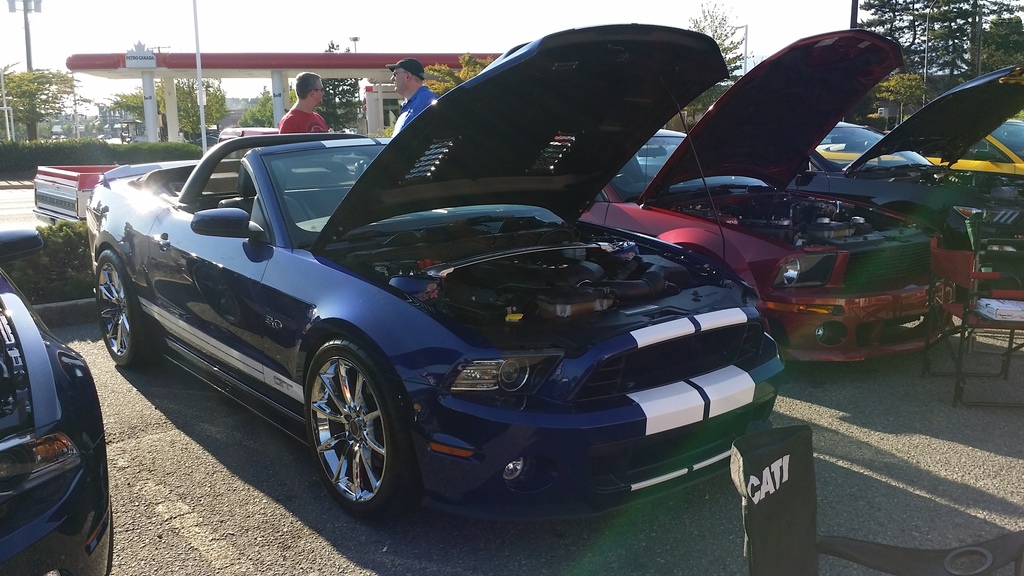 Name:  20150718_183528_zps1yv1vkmh.jpg
Views: 43
Size:  276.5 KB