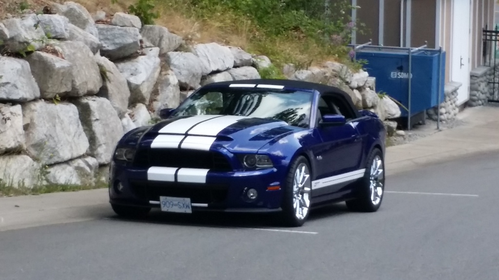 Name:  20150620_131425_zpsxjxanaat.jpg
Views: 39
Size:  203.3 KB