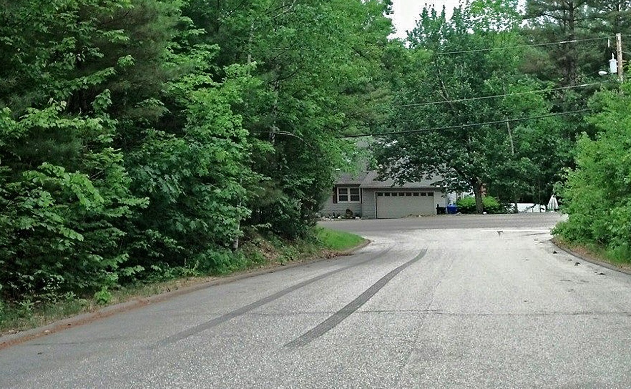 Name:  2015-06-03_tiremarks2_zpsvh1qdxyu.jpg
Views: 70
Size:  571.2 KB