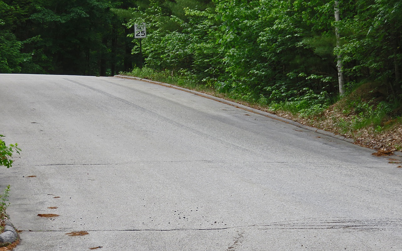 Name:  2015-06-03_tiremarks1_zpsc611facd.jpg
Views: 58
Size:  505.2 KB