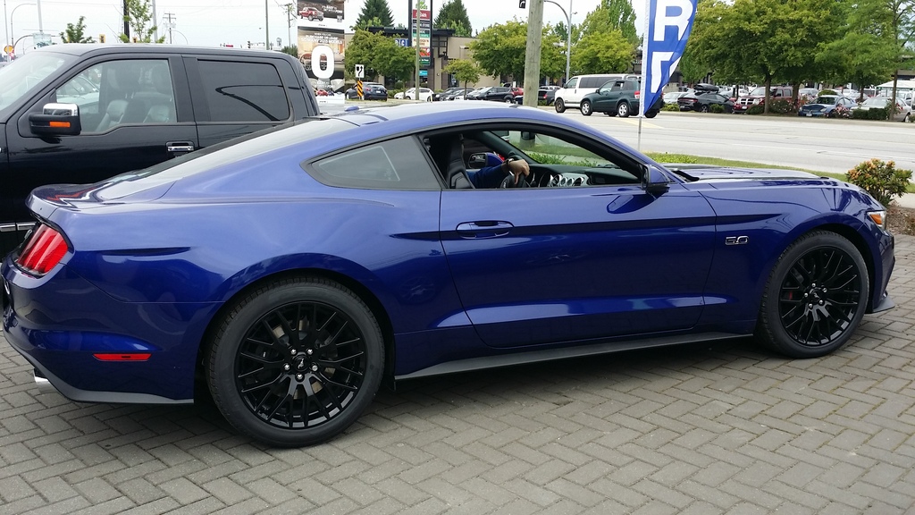 Name:  20150527_125455_zpsgpajphas.jpg
Views: 88
Size:  288.8 KB