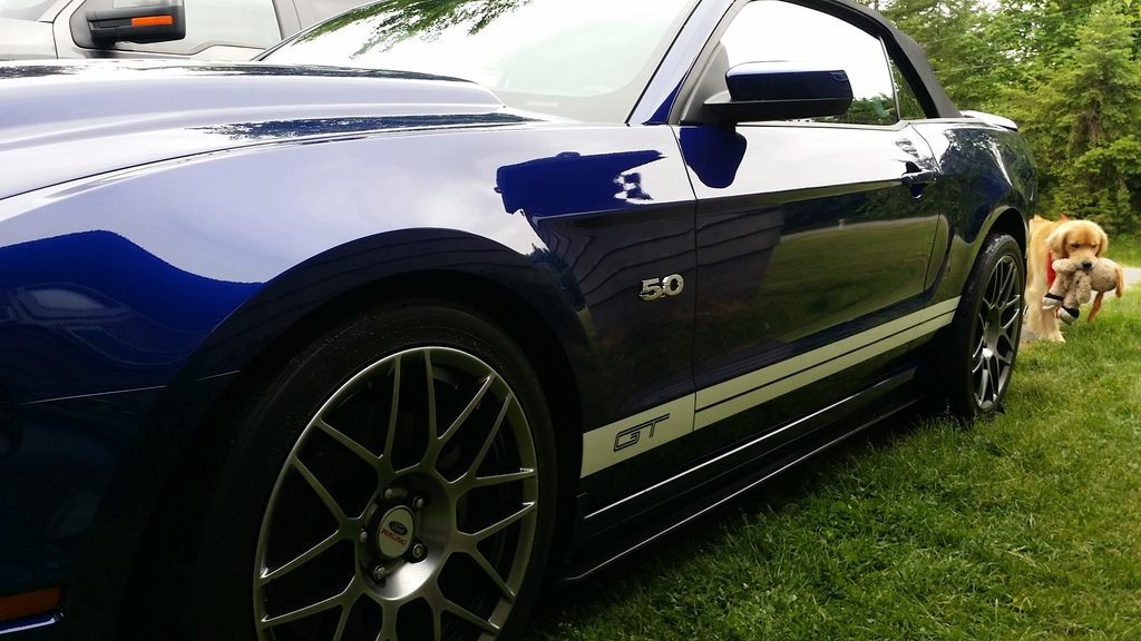 Name:  20150524_123243_zpsen1fxrzb.jpg
Views: 37
Size:  254.3 KB