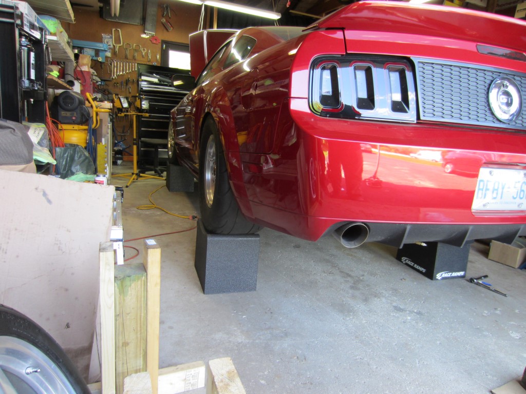 Name:  IMG_9201%20Medium_zpswkxycdkk.jpg
Views: 97
Size:  203.9 KB