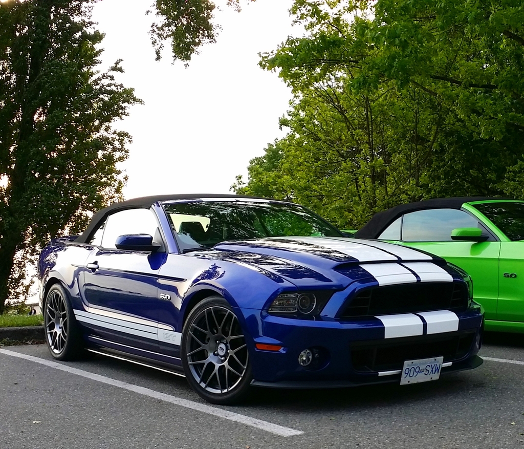 Name:  ff7afc7a-3691-48c2-ae01-fcf7f5bdd689_zpsyyeyumnl.jpg
Views: 53
Size:  727.8 KB